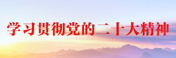 學(xué)習(xí)貫徹黨的二十大精神專(zhuān)題網(wǎng)站